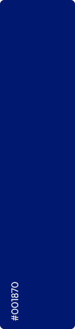 Brand strategy - color/logo variant 4