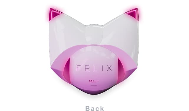Branding & Mascot - Felix angle 2