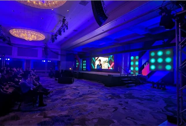 Video section - stage image